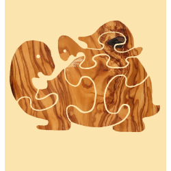 Tartaruga