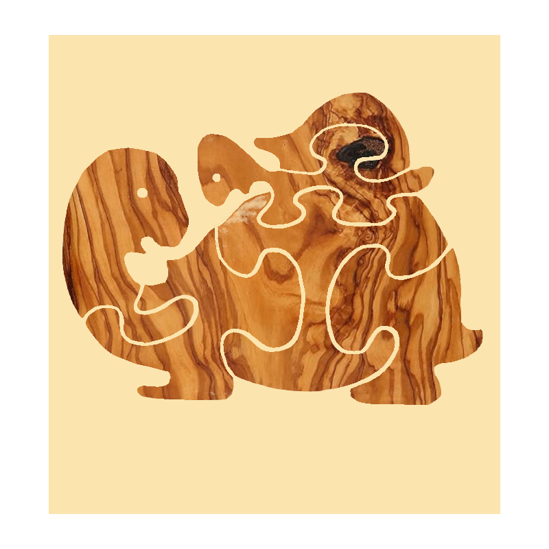 Tartaruga